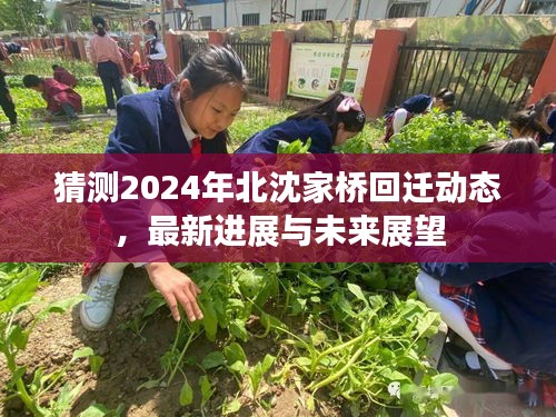 北沈家橋回遷動態(tài)，最新進展與未來展望（猜測至2024年）