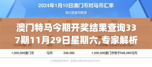 澳門特馬今期開獎結(jié)果查詢337期11月29日星期六,專家解析說明_精簡版3.278-5