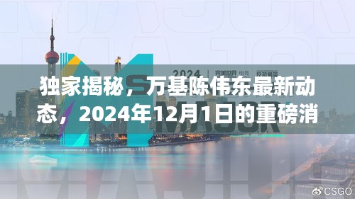 獨家揭秘，陳偉東最新動態(tài)及2024年重磅消息曝光
