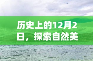 探索自然美景新手游，一場心靈之旅的啟程日期——歷史上的12月2日