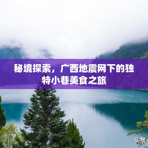 廣西秘境美食之旅，地震網下獨特小巷的美食探索