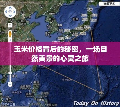 玉米價格背后的秘密，自然之旅的心靈探尋
