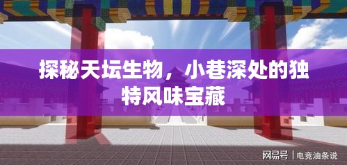 天壇生物，小巷深處的獨特風味探秘