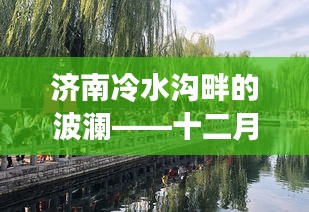 濟南冷水溝畔的波瀾——十二月二日熱門事件回顧