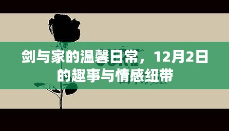 劍與家的溫馨日常，12月2日趣事與情感交織的時刻