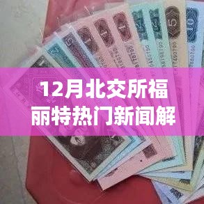 北交所福麗特熱門新聞解析，聚焦十二月動態
