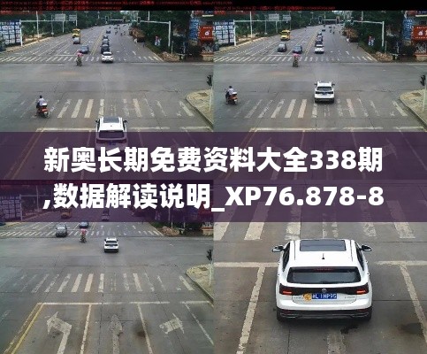 新奧長期免費資料大全338期,數據解讀說明_XP76.878-8