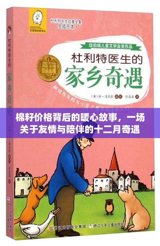 棉籽價(jià)格背后的暖心故事，友情與陪伴的十二月奇緣