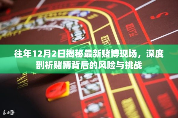 揭秘最新賭博現(xiàn)場，風險與挑戰(zhàn)的深度剖析