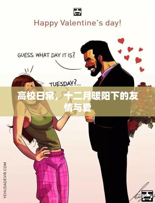 高校日常，十二月暖陽下的友情與愛時光