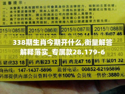 338期生肖今期開什么,衡量解答解釋落實_專屬款28.179-6