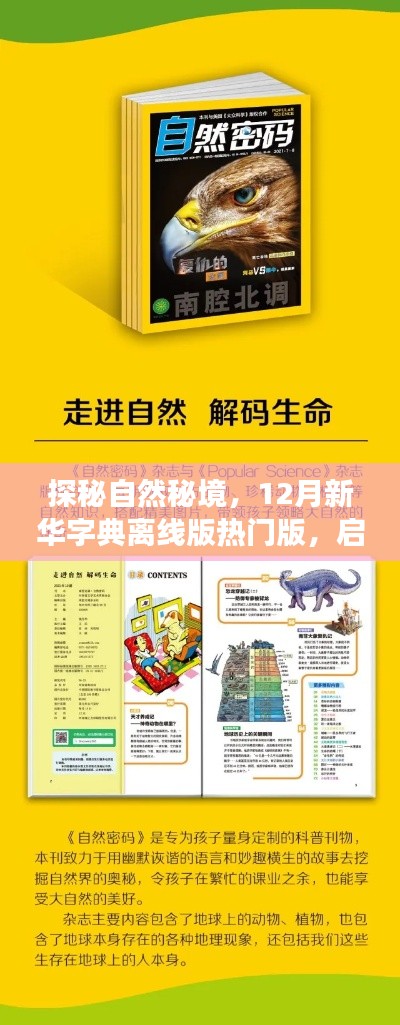 探秘自然秘境，新華字典離線版啟程心靈之旅，12月熱門版帶你飛自然世界
