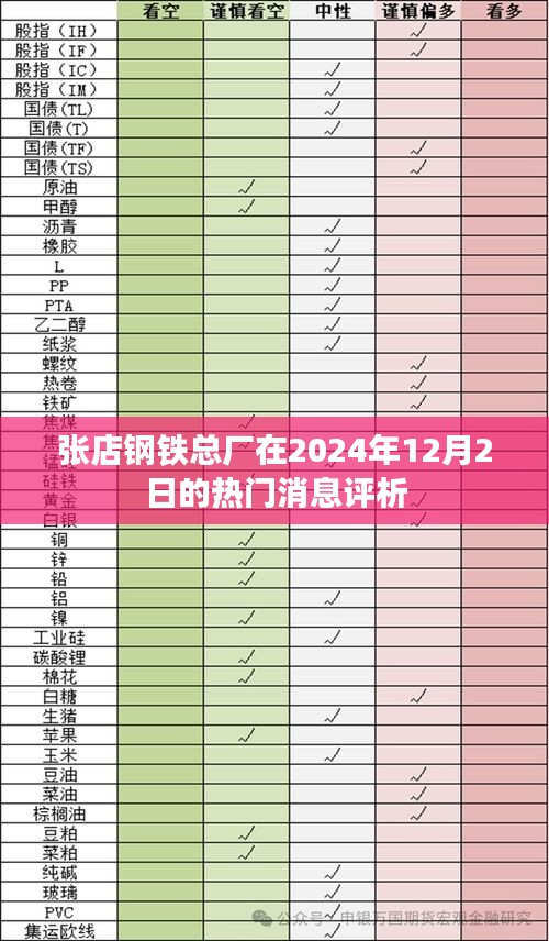 張店鋼鐵總廠2024年12月2日熱門消息評析，深度解讀與觀點分享