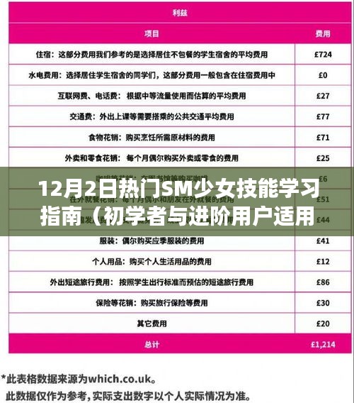 SM少女技能學(xué)習(xí)指南，從入門(mén)到進(jìn)階的實(shí)用指南