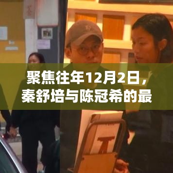 秦舒培與陳冠希最新動(dòng)態(tài)回顧與影響分析，聚焦十二月二日觀察報(bào)告
