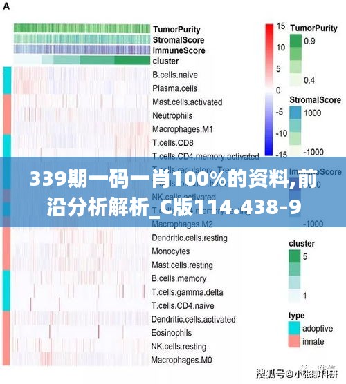 339期一碼一肖100%的資料,前沿分析解析_C版114.438-9