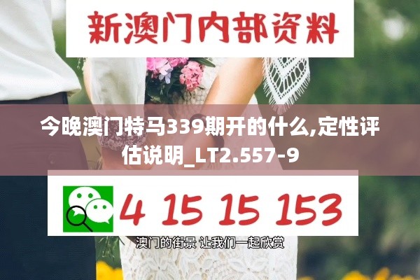 今晚澳門特馬339期開的什么,定性評估說明_LT2.557-9