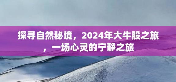 探尋自然秘境，心靈寧靜之旅，探尋大牛股之旅 2024年行記