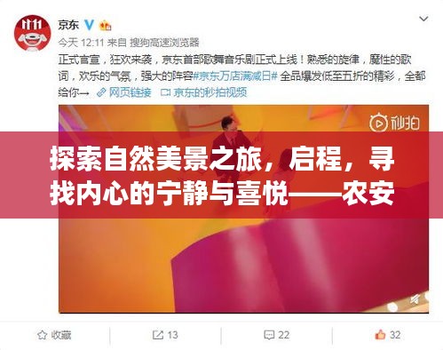 農安最新招聘啟航，探索自然美景之旅，尋找內心的寧靜與喜悅