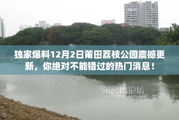 獨家揭秘，莆田荔枝公園12月2日全新升級，熱門更新不容錯過！