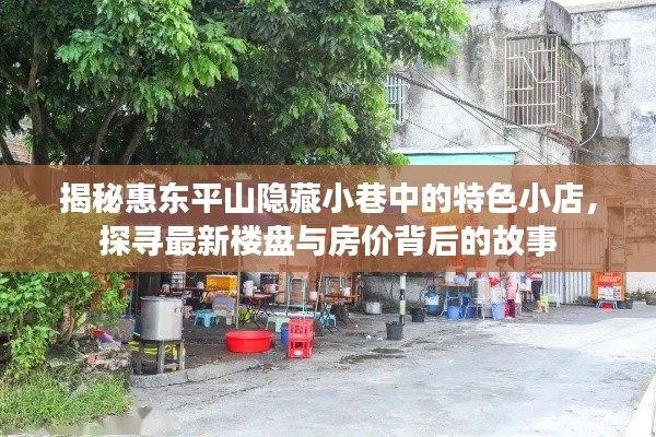 探訪惠東平山隱藏小巷的特色小店與樓盤房價背后的故事