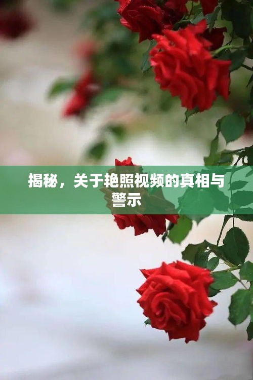 揭秘艷照視頻的真相與警示，涉黃問題的深度剖析