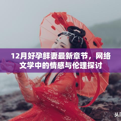 12月好孕鮮妻最新章節，網絡文學情感與倫理探討