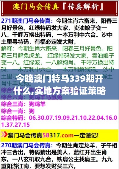 今晚澳門特馬339期開什么,實地方案驗證策略_7DM164.122-2