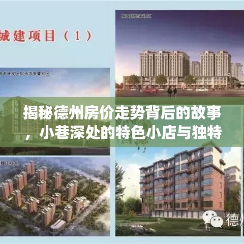 德州房價背后的故事，小巷特色小店與環境魅力的影響揭秘