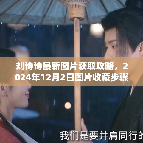 劉詩詩最新圖片收藏指南，2024年12月2日獲取攻略與步驟指南（適合初學(xué)者與進階用戶）