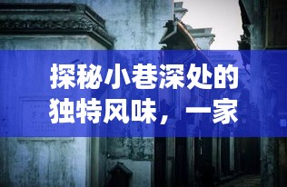 探秘小巷深處的獨(dú)特風(fēng)味，揭秘隱藏版特色小店背后的日本最新MV理論歷史