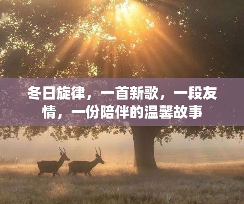 冬日旋律，友情與陪伴的溫馨故事
