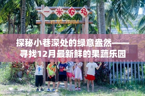 探秘小巷深處的綠意盎然，揭秘十二月最新鮮果蔬樂園