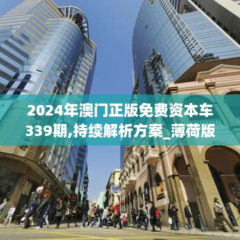 2024年澳門正版免費資本車339期,持續解析方案_薄荷版51.421-9