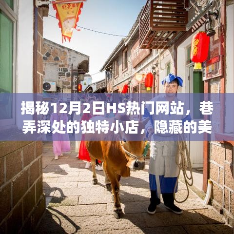 揭秘HS熱門網站隱藏美食天堂，巷弄深處的獨特小店（12月2日探秘之旅）