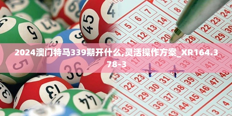 2024澳門特馬339期開什么,靈活操作方案_XR164.378-3