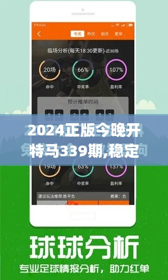 2024正版今晚開特馬339期,穩定性策略設計_AP44.370-9