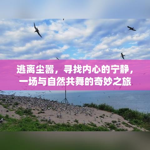 與自然共舞，逃離塵囂，尋覓內(nèi)心寧靜的奇妙旅程