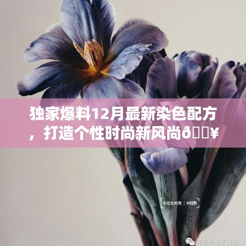 獨家首發！12月最新染色配方揭秘，引領個性時尚新潮流（小紅書獨家爆料）