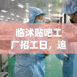 臨沭貼吧工廠招工日，探尋自然美景，重拾內心寧靜之旅
