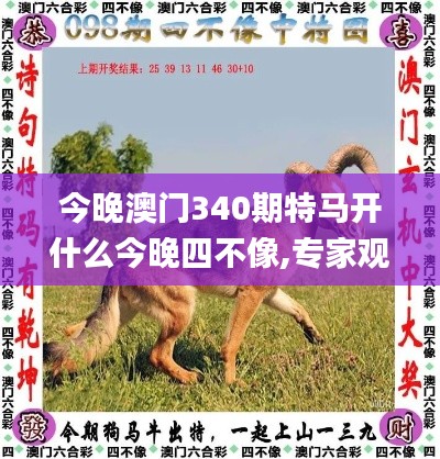 今晚澳門340期特馬開什么今晚四不像,專家觀點解析_AP10.353-4