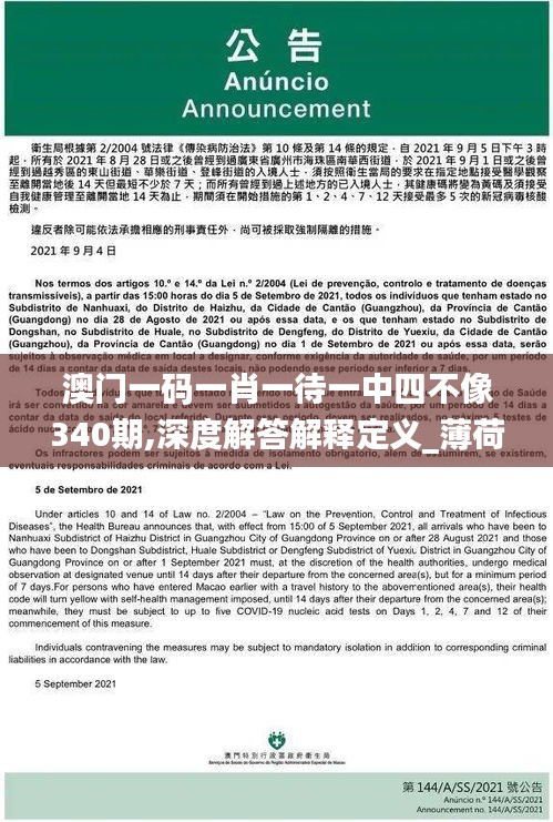 澳門一碼一肖一待一中四不像340期,深度解答解釋定義_薄荷版56.307-6