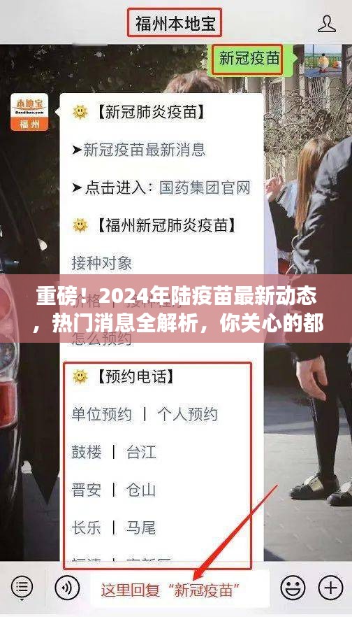 2024年陸疫苗最新動態(tài)解析，熱門消息匯總，你所關心的都在這里