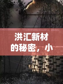 洪匯新材的秘密，小巷深處的獨特風味探秘之旅