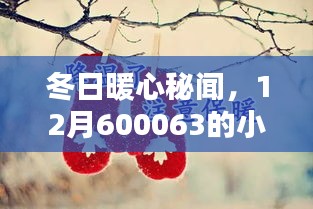 冬日暖心秘聞，小道消息與溫馨日常（12月600063篇）