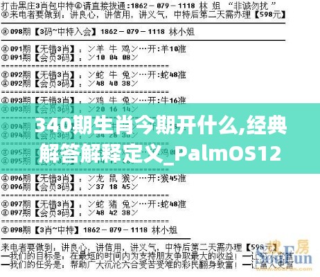 340期生肖今期開什么,經典解答解釋定義_PalmOS12.980-2