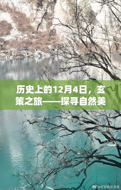 玄策之旅，探尋自然美景與內(nèi)心平靜的藝術(shù)歷史探尋日（12月4日）