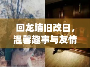 回龍埔舊改日，重逢的溫馨趣事與深厚友情
