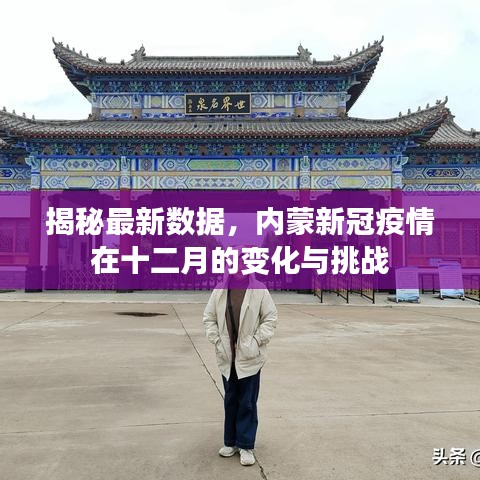 揭秘最新數據，內蒙新冠疫情十二月變化與面臨的挑戰