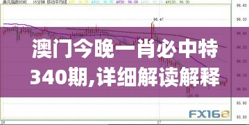 澳門今晚一肖必中特340期,詳細(xì)解讀解釋定義_XP199.346-2